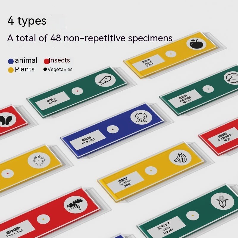 Portable Toy Microscope that works perfectly - Image 2